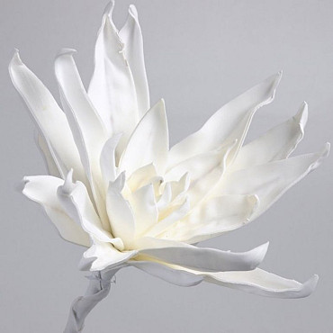 Foam Flower White, D 35cm