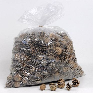 Mini Dennenappeltjes 5kg