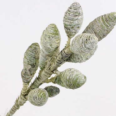 Decorum 100cm Groen