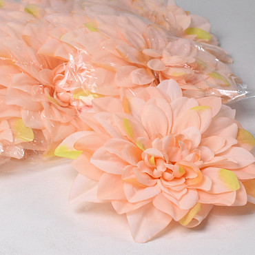 Dahlia D20cm Pastel Peach