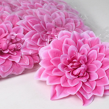 Dahlia Hard Pink D20cm 