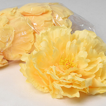 Peony Yellow D18cm