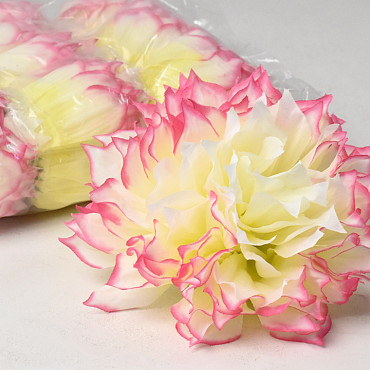 Dahlia D16cm Crème/Rose Tendre