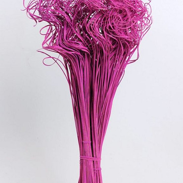 Curly Ting rose foncé 300 Tiges