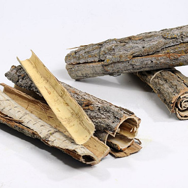 Poplar Bark