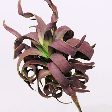 Foam Plant 45cm brown-green