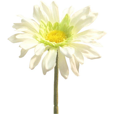Gerbera 34cm Weiss