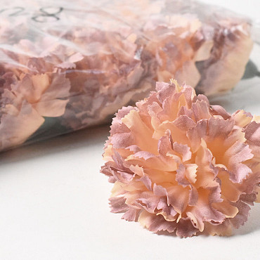 Carnation Pale Peach D9cm