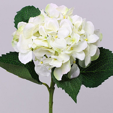 Hortensia 52cm blanc