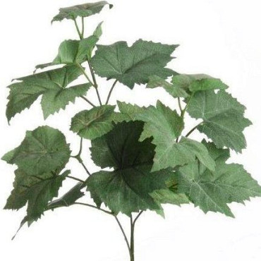Grape Leaves 58cm