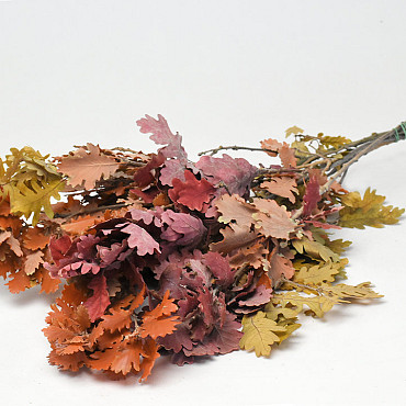 Oak Leaves Mix 50-60cm