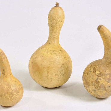 Calabash Medium 12-18cm