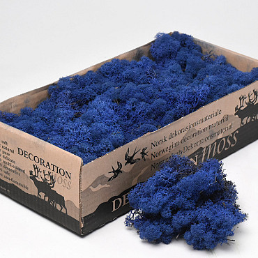 Reindeer Moss Royal Blue 500gr.