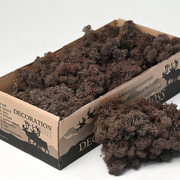 Reindeer Moss Brown 500gr.