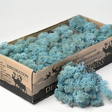 Islandmoos Aquamarine 500Gr.