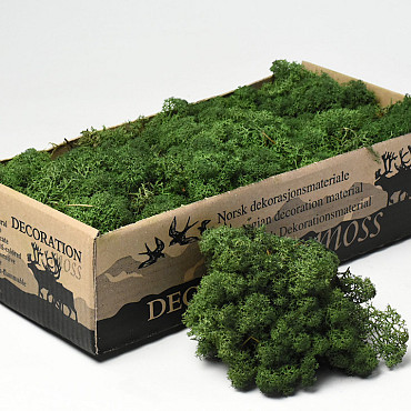 Reindeer Moss Moss-Green 500g.