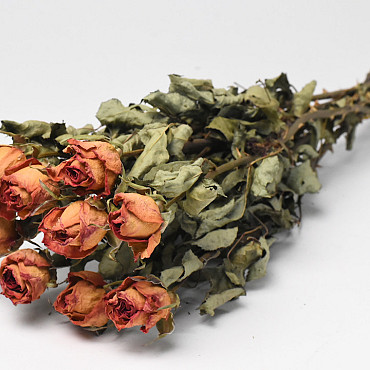 Rosen Gelb-Rosa 50cm, 10 stück pro Bund