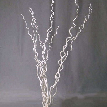 Kuwa gebleekt 115cm