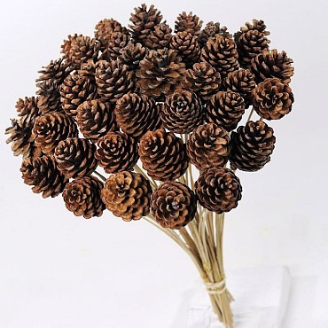 Pine Cone on 50cm stem