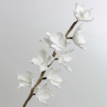 Foam Blossom White, D 11cm