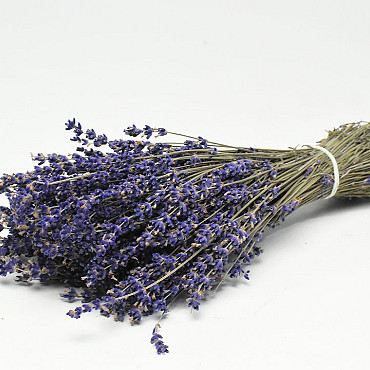 Gedroogde lavendel 70gr, 25cm