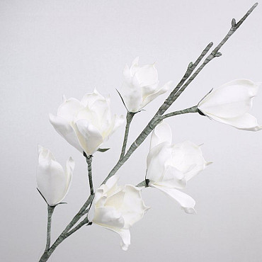 Foam Magnolia Wit, D 18cm
