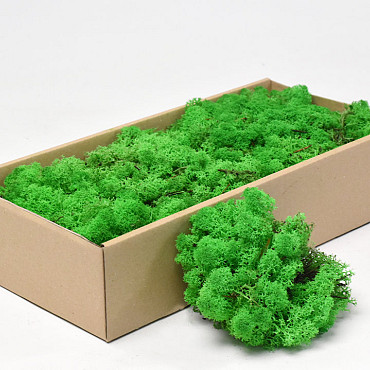 Reindeer Moss Jungle Green 500g.