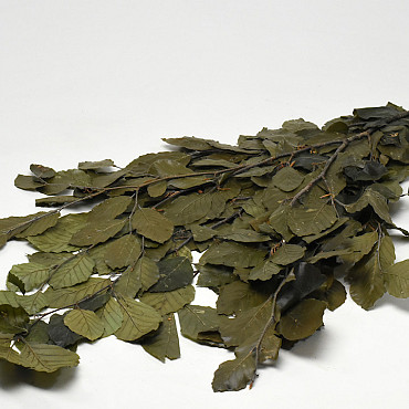 Beech Leaves Green 80cm