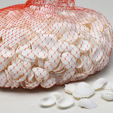 Muscheln White Chippi Small 1Kg