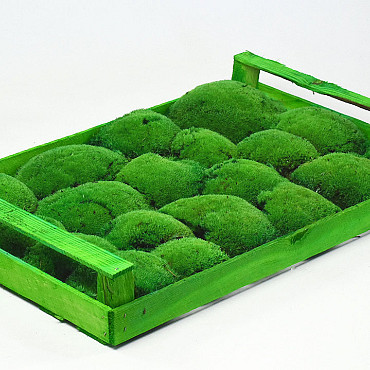 Cushion Moss Green (Crate 38x58cm)