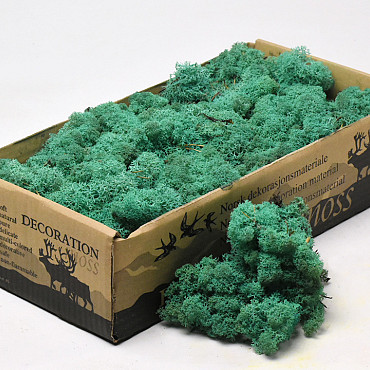 Reindeer Moss Pacific Green 500g.