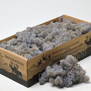 Reindeer Moss Lavender 500gr.