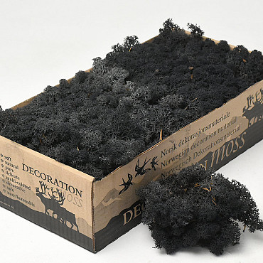 Reindeer Moss Black 500g.