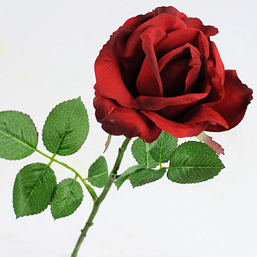 Rose 37cm Red