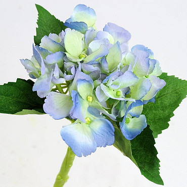 Hortensia 35cm bleu