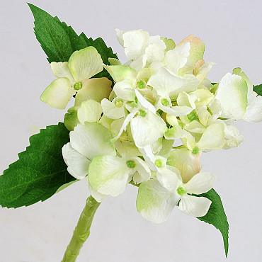 Hortensien 35cm Weiss