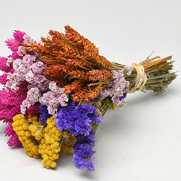 Dried Flower Bouquet Colourful 25cm