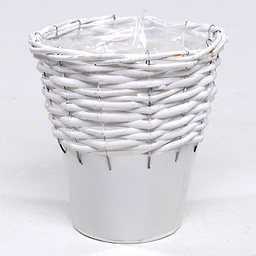 Basket willow 18cm