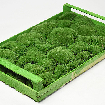 Cushion Moss Forest Green (Crate 38x58cm)