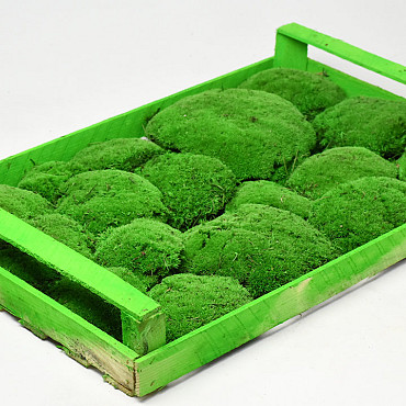 Cushion Moss light Green (Crate 38x58cm)