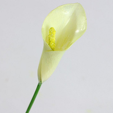 Calla White 45cm