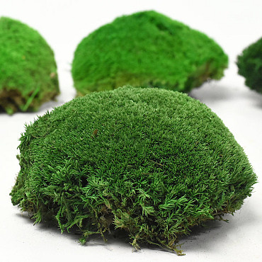 Cushion Moss Forest Green Sample