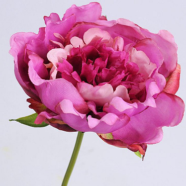 Peony Rose 25cm dark Pink