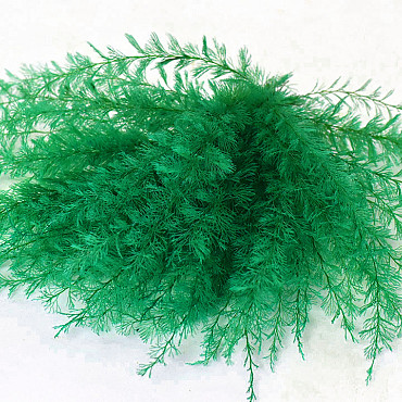 Air Fern Green 15cm 5-Pack 