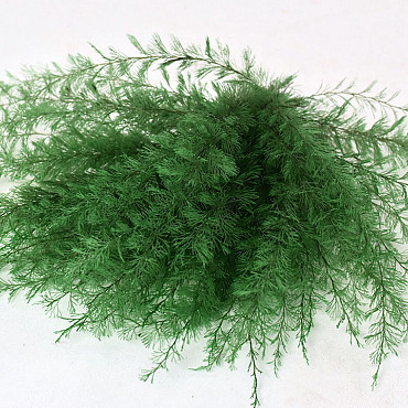 Air Fern Moosgrün 15cm 5-Pack 