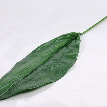 Aspidistra Leaf 83cm