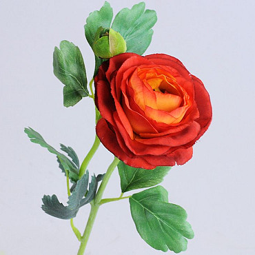 Ranunculus 43cm red