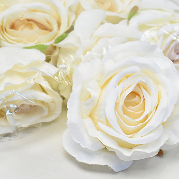 Rose White D10cm