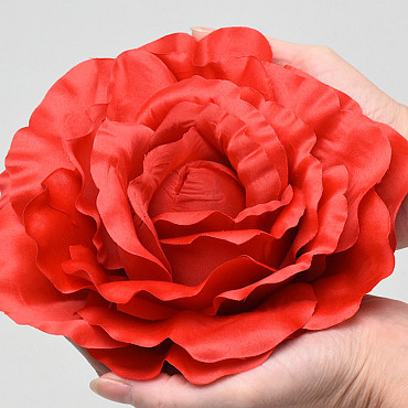 Rose Rouge D21cm