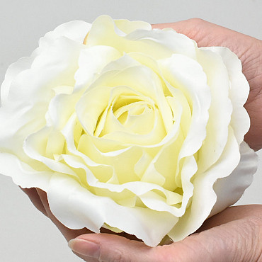 Rose Cream D21cm